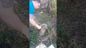 Тест ножа из стали N690