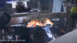 Производство крабового мяса Разделка крабов