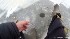 Поехали за Ратаном на первый лед. Все понемногу fishing