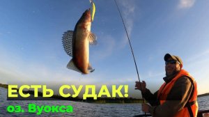 Рыбалка на оз. Вуокса с семьями. Все таки есть судак на Вуоксе! #рыбалка #охотаирыбалкадлядуши
