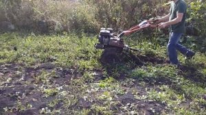 Копка картошки мотоблоком. Патриот Волга.