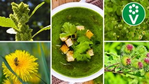 Не можете избавиться от сорняков - СЪЕШЬТЕ ИХ!  Ну очень вкусные и полезные сорняки