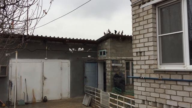 Почему я в интернете!17.03.19.г. смотреть онлайн