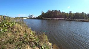 Отличная рыбалка на Белоярке. Лещ Плотва Карась. Осенняя рыбалка на фидер.