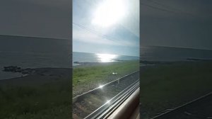 АКАЦИЯ - АДЛЕР  !!!