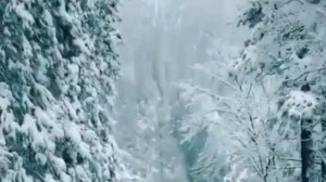 Катя Огонёк Печальные Розы.Монтаж от Veroniki.