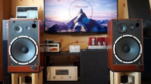 Victor JS-570 & Triode TRV845SE (6)