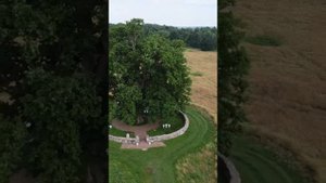 Самое старое дерево в Калининградской области. Дубу 600 лет!!