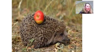 Креативность. Из цикла "Вдохновение в Естествознании"