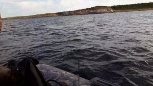 2я часть. Рыбалка в Карелии. Август 2019. Белое море. Кереть. Малый Медведок.