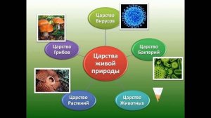 Окружающий мир 3 класс. Природа. С ответами, стр 4