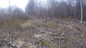 Пасека с нуля нюансы с землями сельхоз назначения