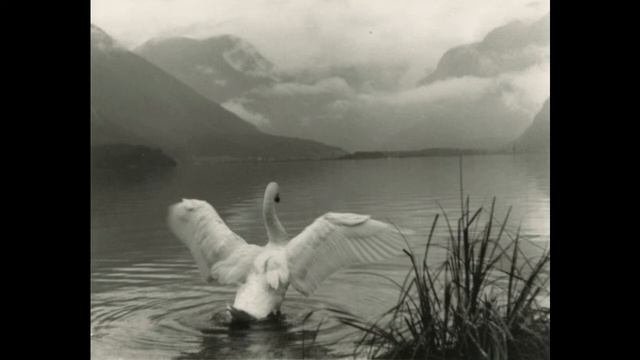 Excerpt From Tristram By Edwin Arlington Robinson (1927)