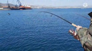 21.03.2022.Ловля минтая в г. Находка мыс Астафьева.#рыбалка#рыбалкавприморье#приморскийкрай#находка