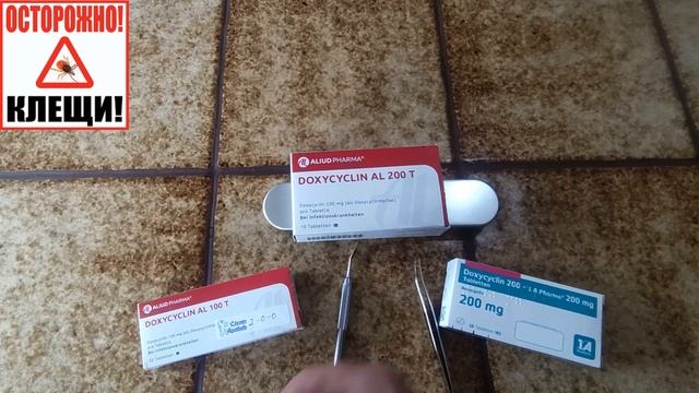 Что делать если укусил клещ? Первая помощь при укусе клеща. Инструмент и Таблетки от укуса клеща