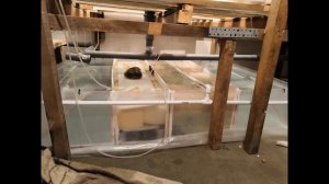 Биофильтр запущен.БИОФИЛЬТР ДЛЯ РАКОВ. АККР.