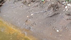 кто по курсам?)