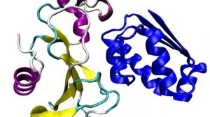 Protein complex | Wikipedia audio article