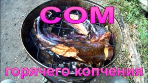 Сомик горячего копчения.