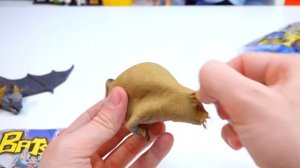 ПОЙМАЛ КРЫСУ ВО ВРЕМЯ ОБЗОРА