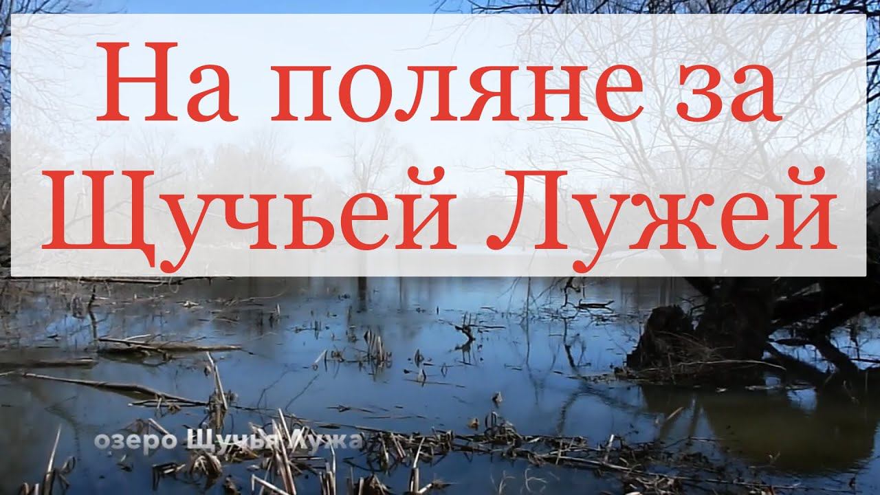 На поляне за Щучьей Лужей 27 апреля 2014