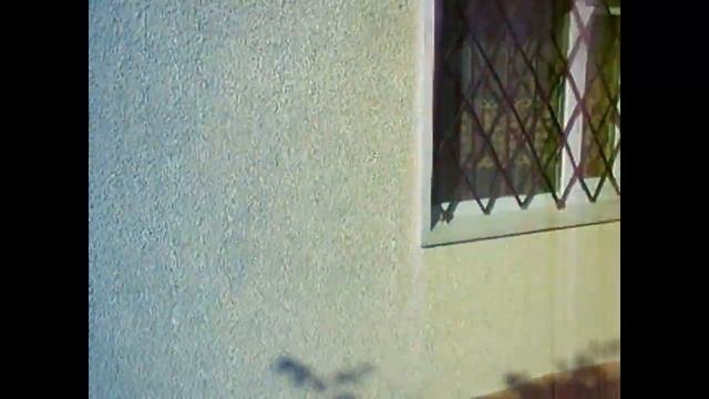 Отделка домика под шубу с покраской! смотреть онлайн