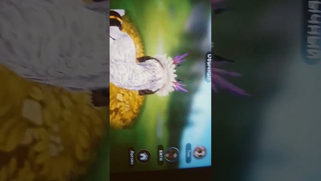 Zak? если ты все время был на канале напиши про меня и про канал смотреть онлайн