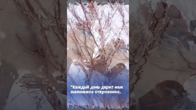 Каждый день дарит нам маленькое откровение смотреть онлайн