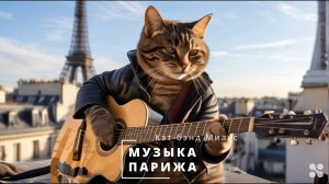 cat band