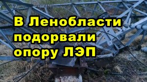 В Ленобласти подорвали опору ЛЭП
