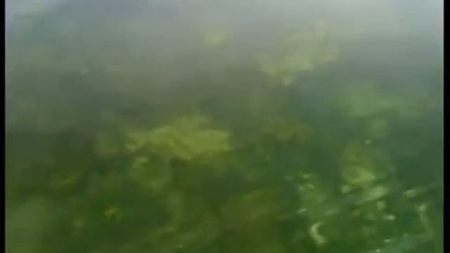 Видео-экскурсия«Озеро Байкал – мировое наследие»