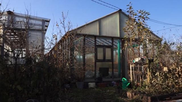 Академия на грядках 20 октября 2021 смотреть онлайн