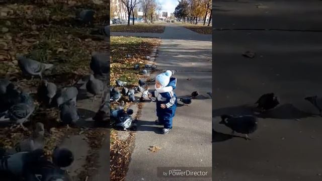 Гуляем на улице и охотимся за голубями! Нам 1 годик и 2 месяца. Активная прогулка на улице. смотреть онлайн