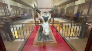 Экскурсия в Каир из Шарм эль Шейха. Перелёт, завтрак в кафе для местных, Каирский исторический музе