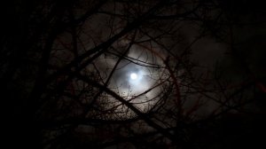 Страшные истории на ночь, Зимняя рыбалка - страшилки.