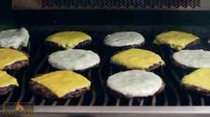 Газовый гриль Napoleon Prestige 500