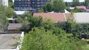 Незадачливый ПТЕНЕЦ Горихвостки залетел на балкон*К чему это ?