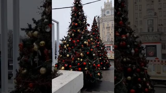 Парад новогодних ёлок/ Триумфальная площадь