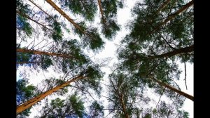 Песня про санаторий "Карагай".Республика Башкортостан. Россия.