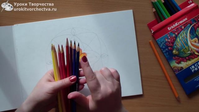 Рисуем цветок мандалу цветными карандашами смотреть онлайн