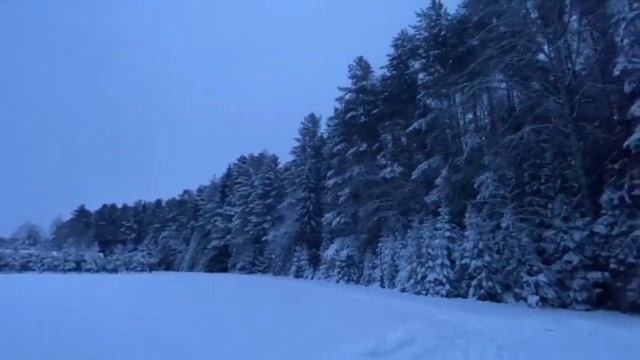 Прибыли на базу_ База охотников_ Лесной рай