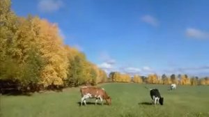 Коми песня 'Сьылан' Komi Song