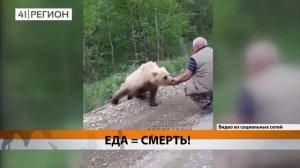 Не корми медведя
