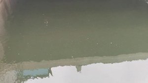 Ферма пожарный водоем перезимовала кормим форель