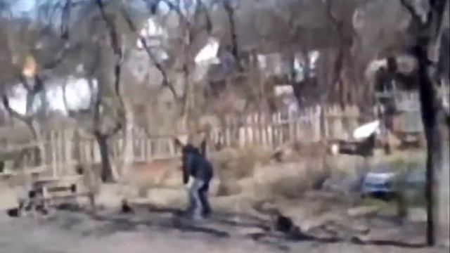 Прикол с петухом. Дразним петуха смотреть онлайн