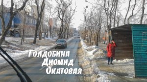 Голдобина, Диомид, Окатовая - Владивосток, 2021.