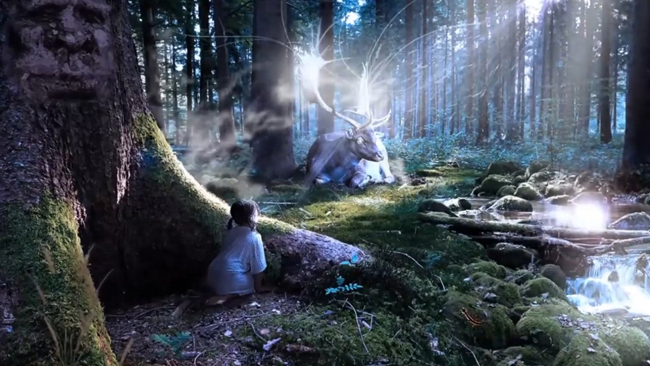 Лесная музыка слушать. Сказочное место эмоции. Волшебный лес Иркутск. Волшебный лес перформанс. Nature Sound Retreat Enchanted Celtic Forest 2022.