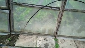 Дуги для укрытия уличных грядок.