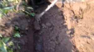 8#Пашем плугом под картошку мотоблоком 105 19 04 2019