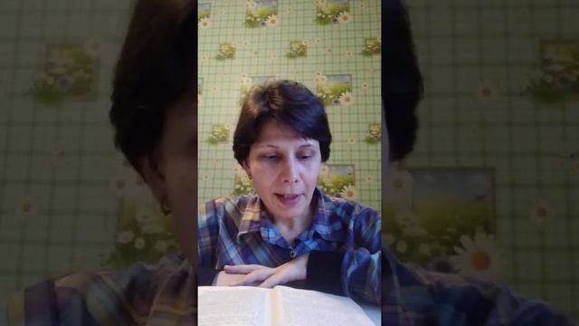 Читаю сказку "Щелкунчик и мышиный король" Эрнста Теодора Амадея Гофмана. / "Елка" смотреть онлайн